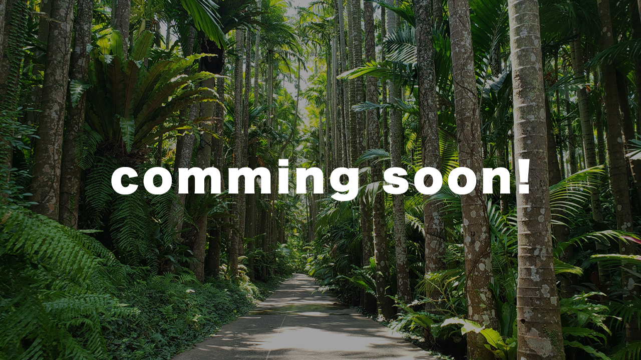 ■comming soon!